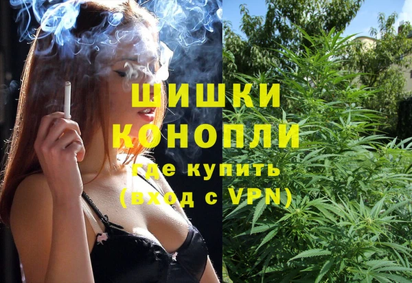прущие грибы Алзамай