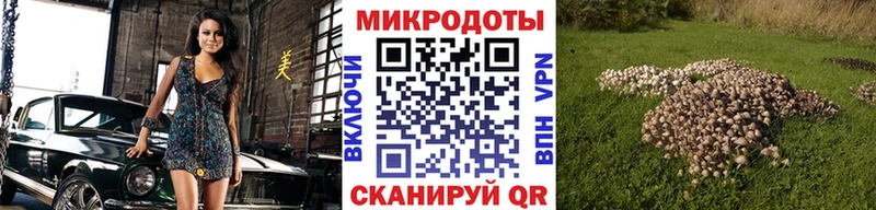 купить   OMG маркетплейс  Псилоцибиновые грибы ЛСД  Щигры 
